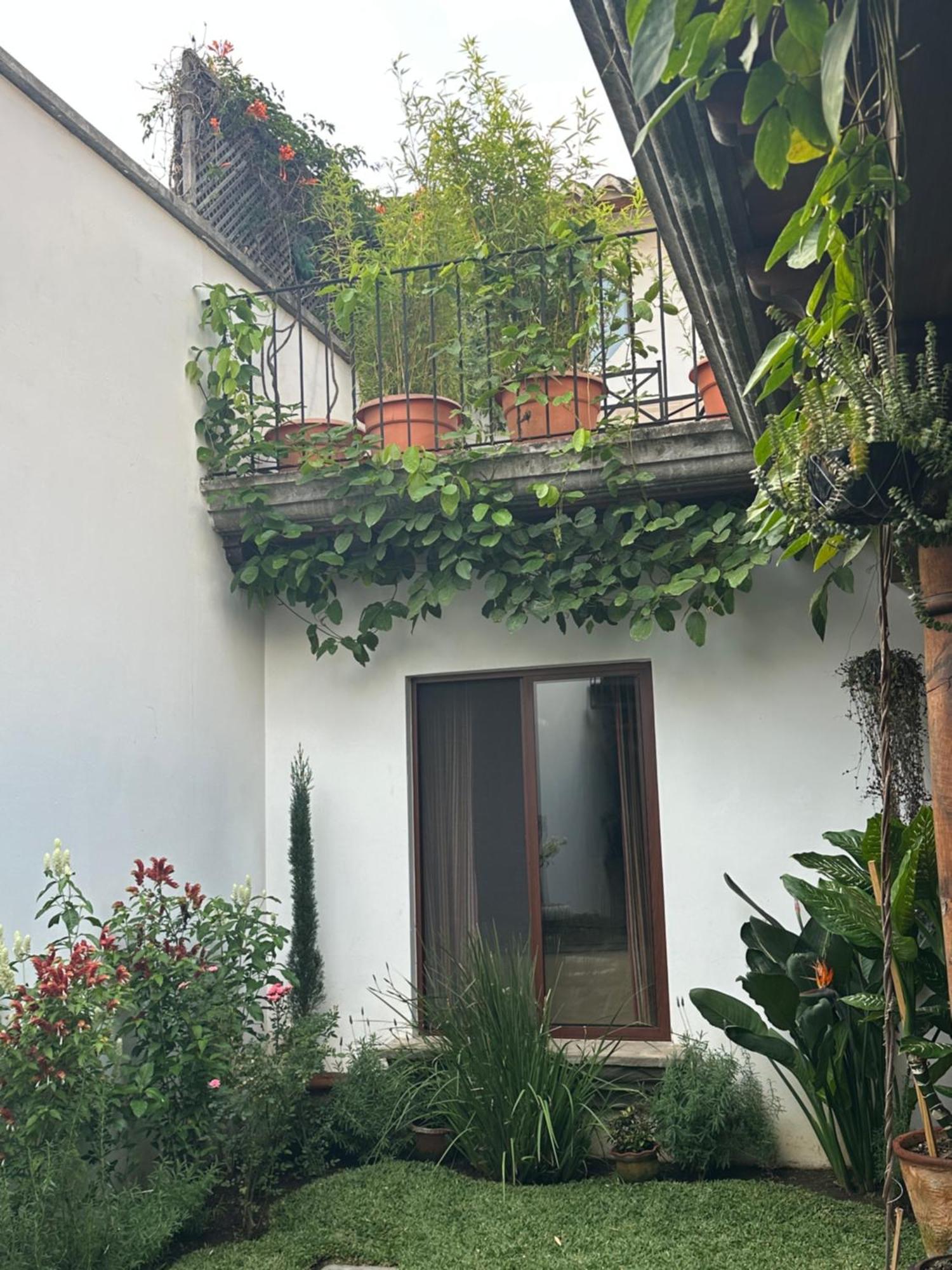 Casa Elena Bed and Breakfast Antigua Buitenkant foto