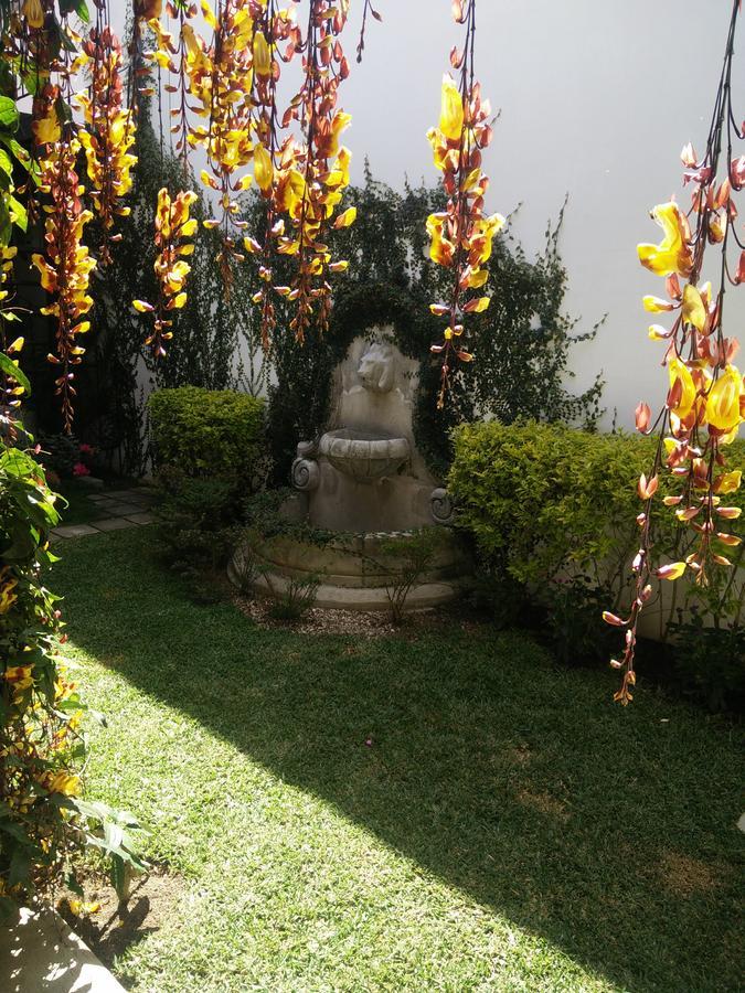 Casa Elena Bed and Breakfast Antigua Buitenkant foto